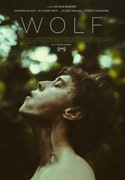 Волк (2021) смотреть онлайн в HD 1080 720